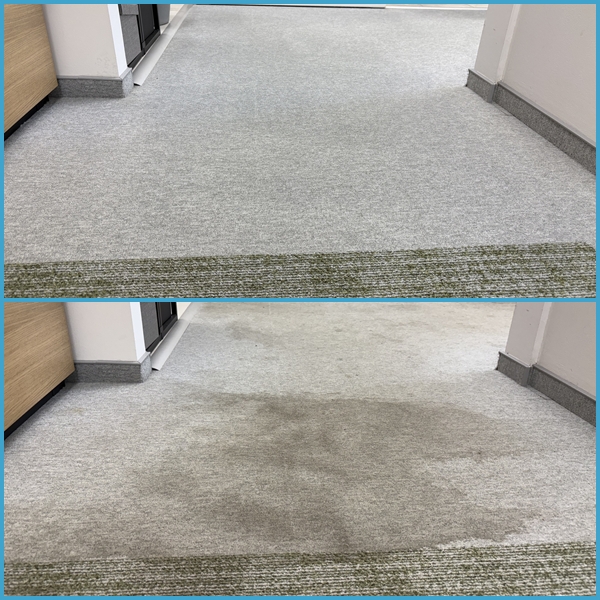 PremiumEcoClean Rotowash bérgép